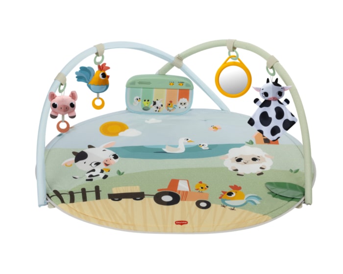 3333120991_2025_tinylove_gymini_front